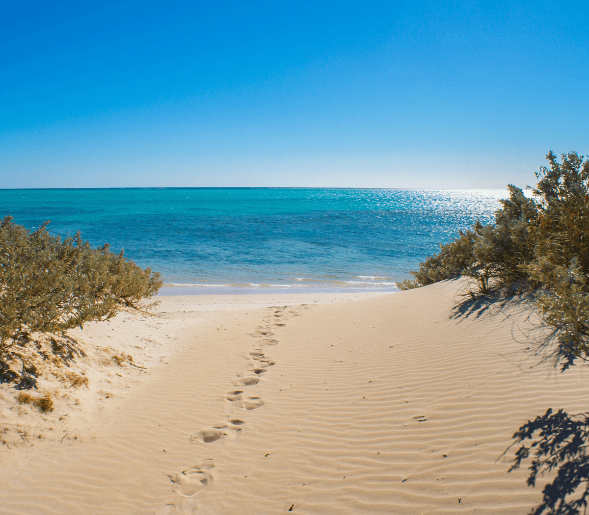 Exmouth locals — offshore workers, tradies, tourism operators and families