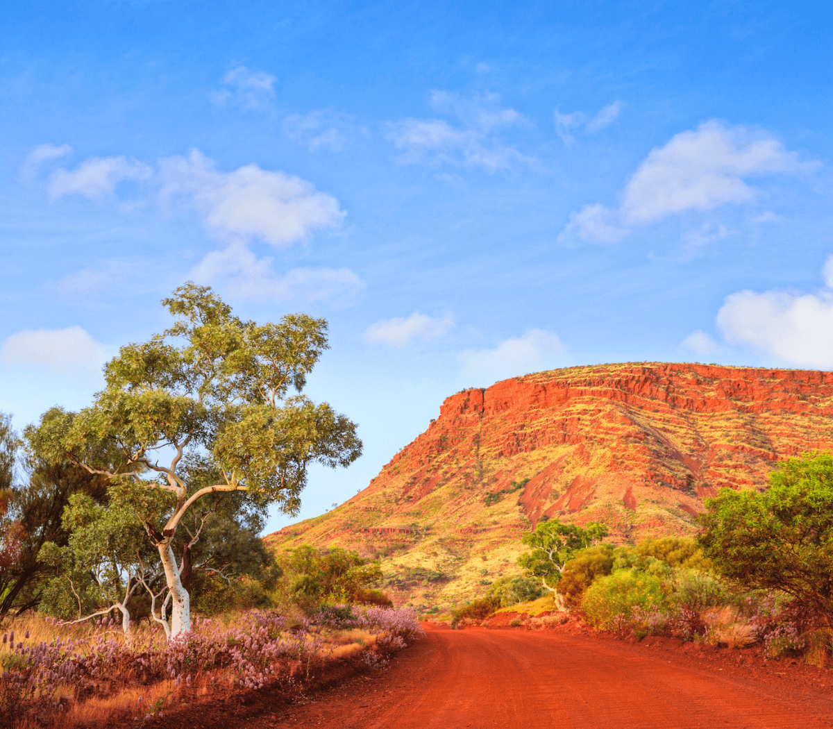 Red dirt country of the Pilbara