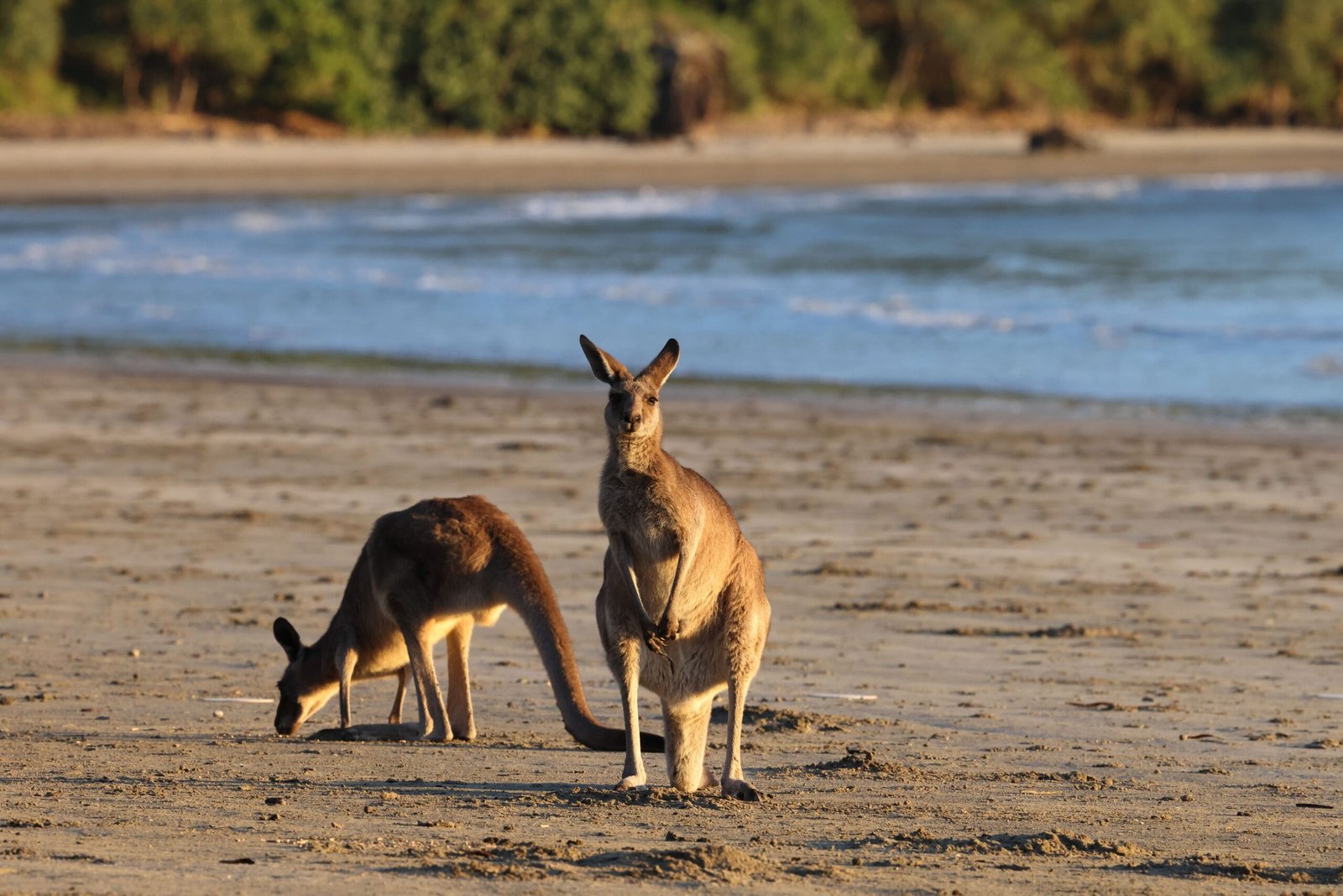 Mortgage broker in Bowen QLD arranging a home loan on a coastal home