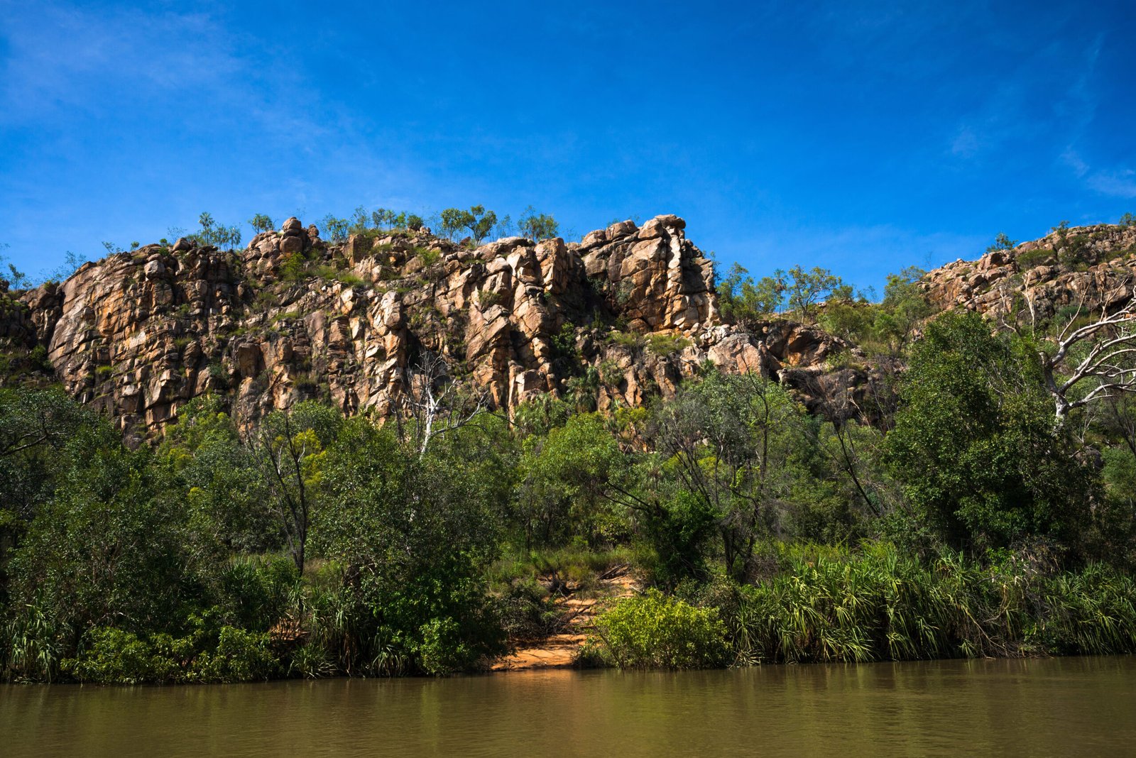 Pastoral station near Katherine with cattle income assessed for a home loan